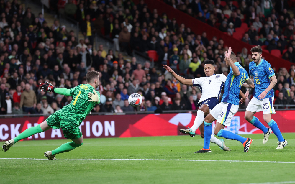 张小楠表示 张小楠表示